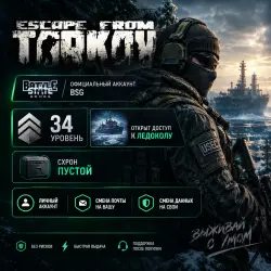 [BSG] Escape From Tarkov | Standard Edition | Level 34 | Ice Pick | Full Account & Email Change