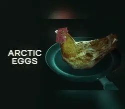 Arctic Eggs РФ+СНГ+ВЕСЬ МИР Steam КЛЮЧ