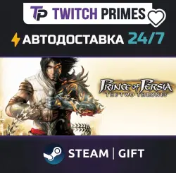 Ru+CIS+China "Prince of Persia The Two Thrones " Steam Gift auto-delivery 24/7