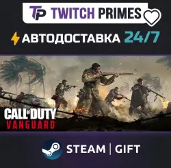Ru+CIS+China "Call of Duty : Vanguard - Standard Edition" Steam Gift auto-delivery 24/7