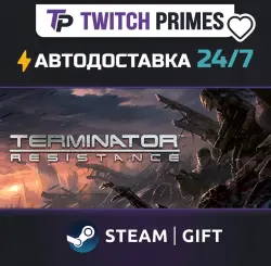 Ru+CIS+China "Terminator: Resistance" Steam Gift auto-delivery 24/7