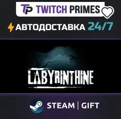 Ru+СНГ+Китай "Labyrinthine" Steam Gift автовыдача 24/7