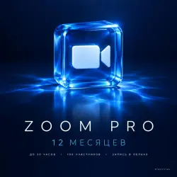 [24/7] | ZOOM WORKPLACE PRO | 12 MONTHS | 100 PARTICIPANTS | FOR YOUR ACCOUNT