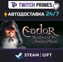Ru+СНГ+Китай "Eador: Masters of the Broken World" Steam Gift автовыдача 24/7