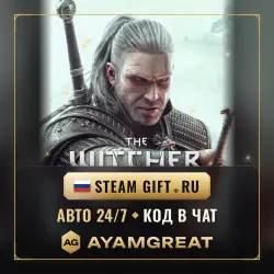 THE WITCHER 3 | STEAM GIFT RU | AUTO 24/7