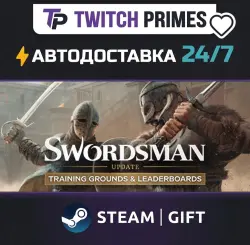 Ru+СНГ+Китай "Swordsman VR" Steam Gift автовыдача 24/7