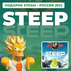 STEEP | STEAM GIFT | AUTO DELIVERY | RU, TR, AR