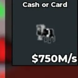 Cash or card yy (Секретный персонаж) — Roblox, лот №223611