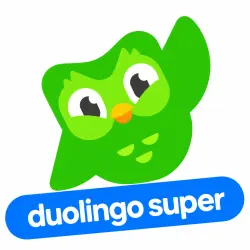 Duolingo Super 12 months | To your account