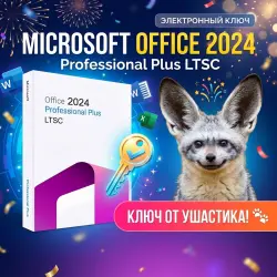 Microsoft Office 2024 Professional Plus LTSC (KEY)