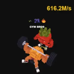 Gym Bros 616.2M s #Wra (Секретный персонаж) — Roblox, лот №231769