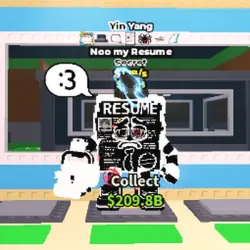 NOO MY Resume 1.1 B s YIN Yang ! Secret PE (Секретный персо… — Roblox, лот №237922
