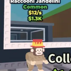 Raccooni Jandelini (Обычный персонаж) — Roblox, лот №239551