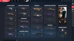 EU |22 skins|all agent|Champions 2024|168 lvl| bronze 2