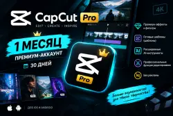CAPCUT PRO 1 MONTH | Premium Account | 30 Days