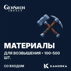 Genshin Impact: ascension materials · 100–500 pcs