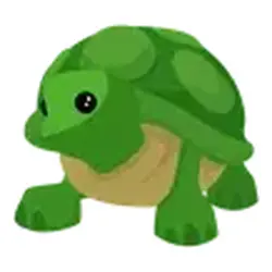 Turtle ADM Adopt Me — Roblox, лот №240470