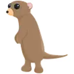Meerkat ADM Adopt Me — Roblox, лот №240740