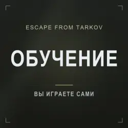 Escape from Tarkov — coaching with an experienced player, hourly