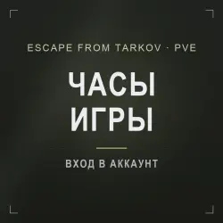 Escape from Tarkov PvE — hours of play on your account (farming, quests)