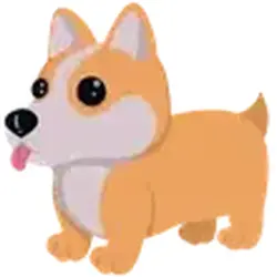 Corgi ADM Adopt Me — Roblox, лот №241519