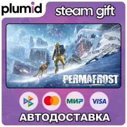 Permafrost Steam Gift / Россия + МИР / АВТО