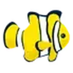 Clownfish ADM Adopt Me — Roblox, лот №242551
