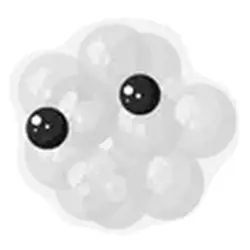 Frogspawn ADM Adopt Me — Roblox, лот №242730