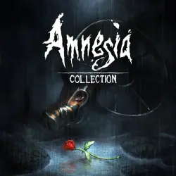 Amnesia Collection— PS4 / PS5 | | П2 | П3 Русский язык