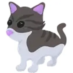 Persian Cat ADM Adopt Me — Roblox, лот №243268
