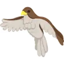 Hawk ADM Adopt Me — Roblox, лот №243803