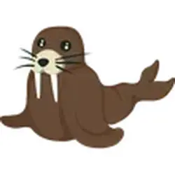 Walrus ADM Adopt Me — Roblox, лот №243830