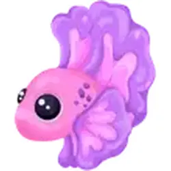 Pink Betta Fish ADM Adopt Me — Roblox, лот №244000