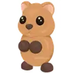 Quokka ADM Adopt Me — Roblox, лот №244091