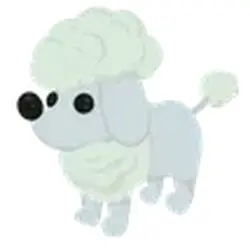 Poodle ADM Adopt Me — Roblox, лот №244364