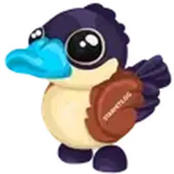 Ruddy Duck ADM Adopt Me — Roblox, лот №244484