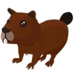 Beaver ADM Adopt Me — Roblox, лот №244843