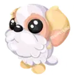 Shih Tzu ADM Adopt Me — Roblox, лот №244930