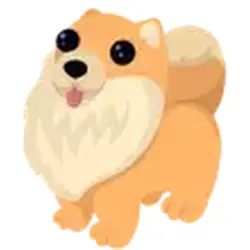 Pomeranian ADM Adopt Me — Roblox, лот №244986