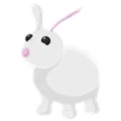 Rabbit ADM Adopt Me — Roblox, лот №245005