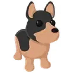 Australian Kelpie ADM Adopt Me — Roblox, лот №245383