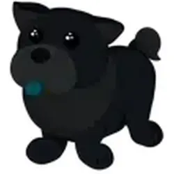 Black Chow-Chow ADM Adopt Me — Roblox, лот №245632