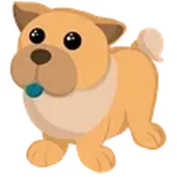Tan Chow-Chow ADM Adopt Me — Roblox, лот №245687