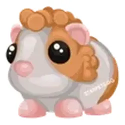 Red Dutch Guinea Pig ADM Adopt Me — Roblox, лот №246014