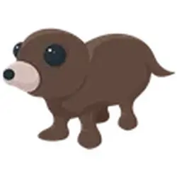 Otter ADM Adopt Me — Roblox, лот №245974