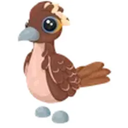 Roadrunner ADM Adopt Me — Roblox, лот №246264