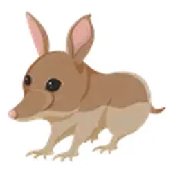 Bandicoot ADM Adopt Me — Roblox, лот №246394