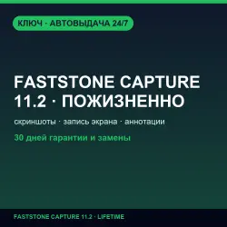 Stone Capture 11.2 | Lifetime License