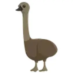 Emu ADM Adopt Me — Roblox, лот №246966