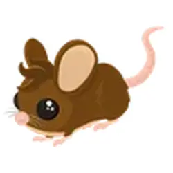 Field Mouse ADM Adopt Me — Roblox, лот №247136